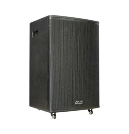 Loa Aucus AK1000