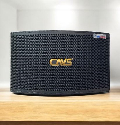 Loa CAVS CX10